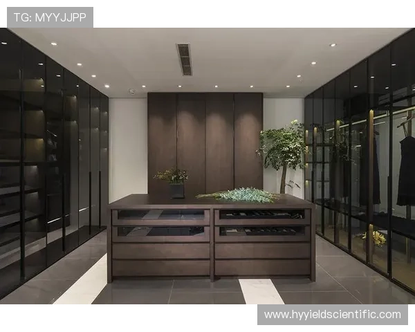 押庄龙虎在不同地区的玩法差异及特色介绍